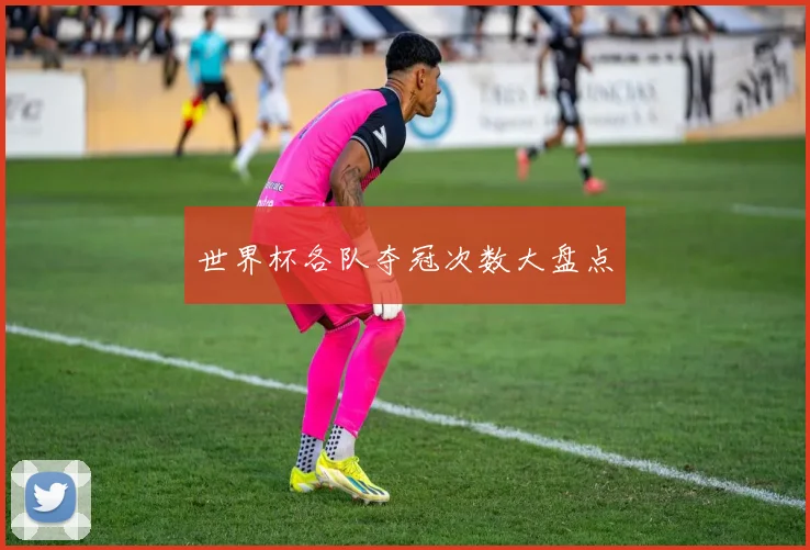 世界杯各队夺冠次数大盘点